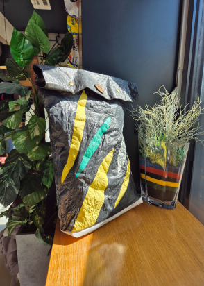 BACKPACK COVER BLACK GREEN YELLOW CRAZY CHICK